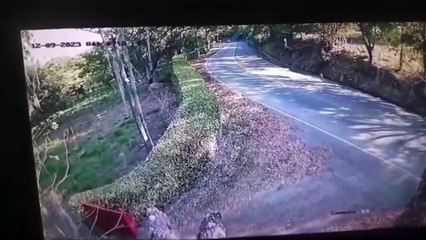 Se comieron la curva  trágico accidente de motociclistas, critican al conductor del camión que se fue sin  ayudar