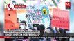 Marchan para exigir justicia para Rodolfo, perrito asesinado en Sinaloa