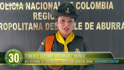 Incautados 100 kilos de marihuana y 485 dosis de droga sintética