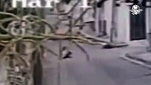 #OMG: Asaltante en moto arrastra a mujer varios metros para robarle su bolsa
