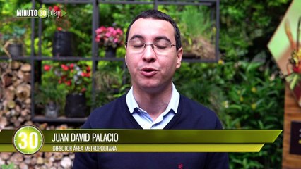 Felina silvestre albina rescatada vivirá en el Parque de la Conservación en Medellín