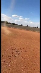 #VIRAL: Captan lluvia de ratones en granja de Australia