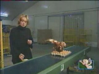 Ramassage d'oeufs à grande vitesse