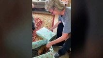 #CUTE: Sorprenden a su mamá regalándole un cachorrito