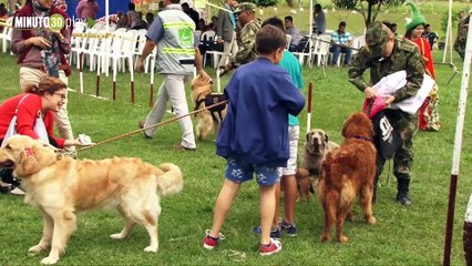 25-10-19 Álvaro Múnera quiere seguir trabajando por los animales, esta vez desde la Asamblea de Antioquia