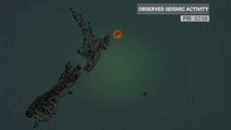 Fuerte sismo sacude a Nueva Zelanda
