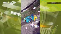 Muy triste Aparecieron muertas y en un basurero dos guacamayas azules en Prado Centro