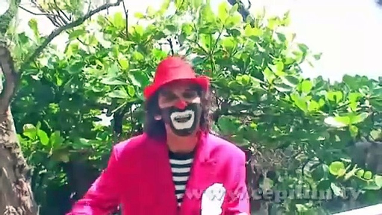 Cepillín La Feria de Cepillin ( VIDEO OFICIAL ) Vídeo Dailymotion