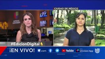 Polemica los videos del hermano del presidente López Obrador recibiendo dinero