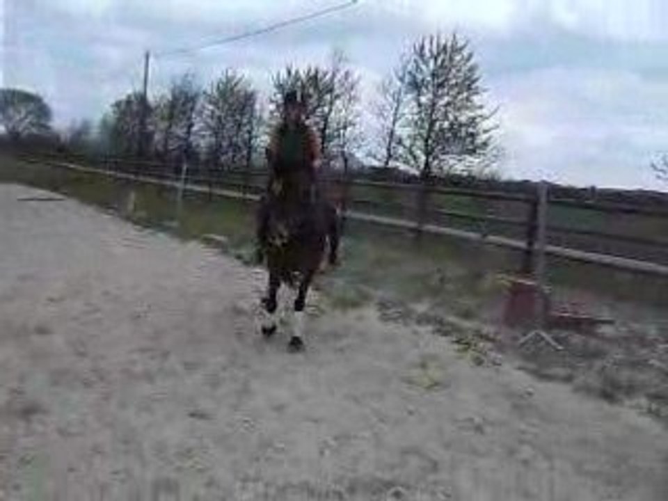 épaule en dedans au pas