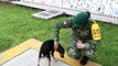 Ejército cambia vidas de perritos callejeros de Santa Lucía con refugio canino