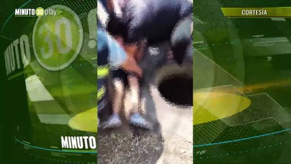 Rescatan a una niña que cayó a una alcantarilla en Bucaramanga, la tapa había sido robada