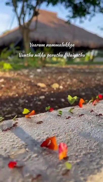 Tamil Motivation Speech Whatsapp status
