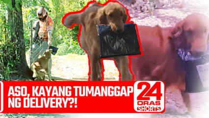 Aso, kayang tumanggap ng delivery?! | 24 Oras Weekend Shorts