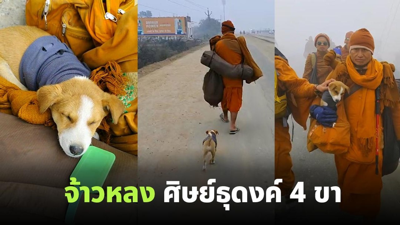 จ้าวหลง น้องหมาวิ่งตามพระธุดงค์ไทย เส้นทางแดนพุทธภูมิอินเดีย-เนปาล