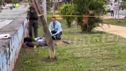 Un perrito se niega a abandonar el cuerpo sin vida de su amigo un habitante de calle