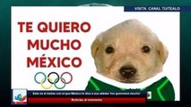 Este es el meme con el que México le dice a sus atletas 'los queremos mucho' Tokio 2020