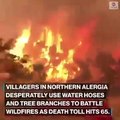 Incendios forestales en Argelia