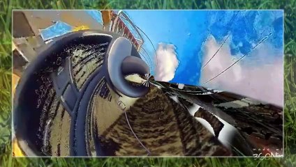 Leaving Burger King and coming back home on 6 23 23 l 360 l Cyberlink.compressed