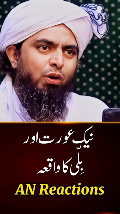 a cat and a good woman