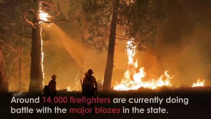 Download Video: Los bomberos combaten una docena de incendios forestales en California