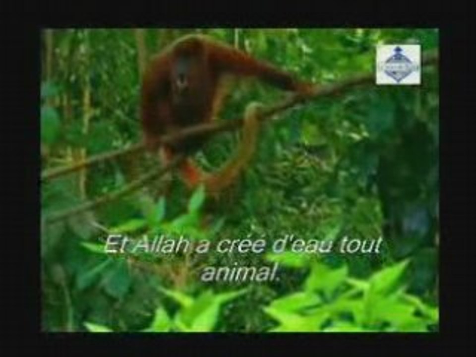 Ne voient t-il pas 3