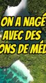 Nager avec des millions de méduses ?