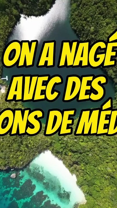 Nager avec des millions de méduses ?