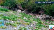 Hallan cuerpo de Ana Karen en las aguas de la presa Endho de Hidalgo arrastrada en Tlalnepantla