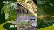 Accidente en la vía Las Palmas, bajando hacia Medellín