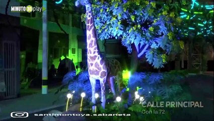 Sabaneta en Navidad, naturaleza que sorprende