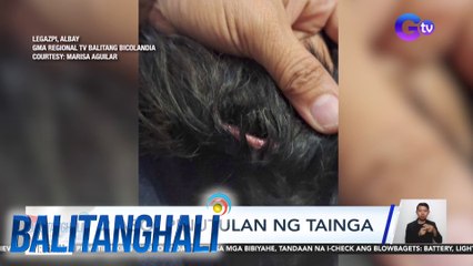 2 Aso, pinutulan ng tainga | BT