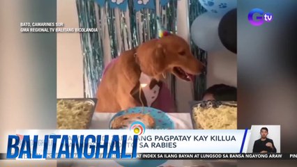 PAWS at may-ari kay Killua, naghain ng joint affidavit complaint laban sa pumatay sa aso | BT