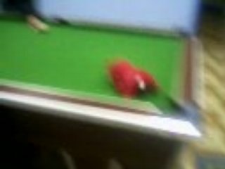 billard du 85