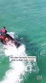 #OMG: Un tiburón de 3 metros le dio un mordisco a la moto acuática de este hombre #Cortos