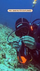 Plongée dans la tête de Gauthier 🧠 : Une immersion déjantée à Bunaken