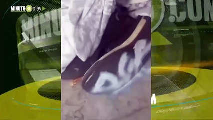 Se grabaron pintando y molestando a un habitante de Calle en Medellín