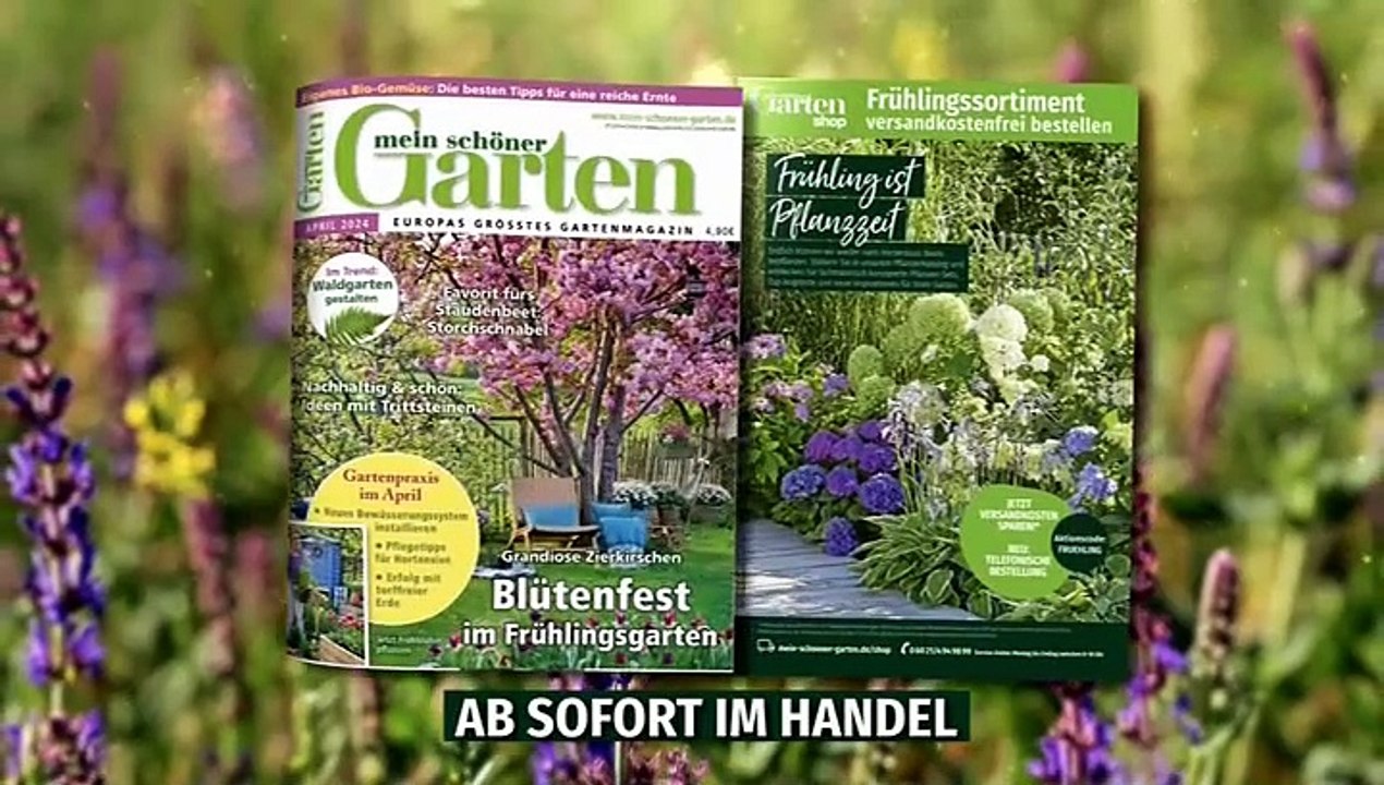 HGTV (Germany) - Continuity (25th March 2024)