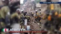 Sedena salva a lomito pitbull de los escombros del Cerro del Chiquihuite