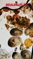 #OMG: INCREIBLE gota de agua de mar bajo microscopio