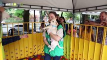 Con oferta de adopciones, Medellín realiza la Feria de la Familia Multiespecie