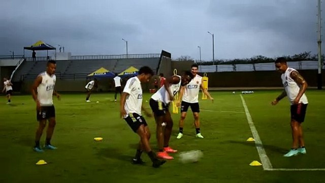Selección Colombia llega a la Copa America