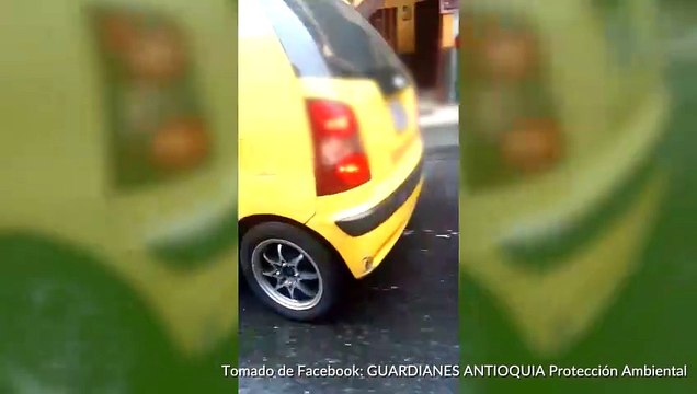 10-10-18 La penosa carrera de un perrito para evitar ser abandonado en Robledo