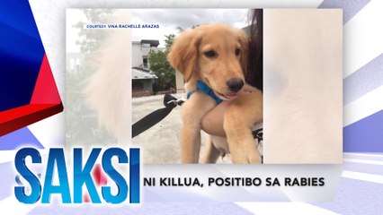 SAKSI RECAP: LABI NI KILLUA, POSITIBO SA RABIES