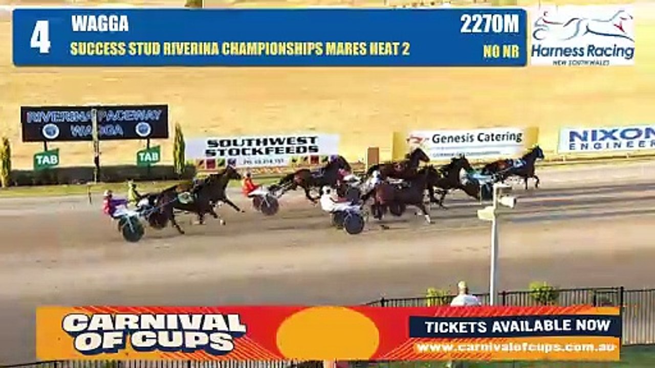Eye Keep Smiling wins Riverina Championship heats