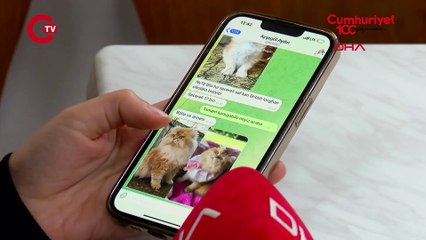 Petshopta yasaklanan hayvan satışı sosyal medyada arttı