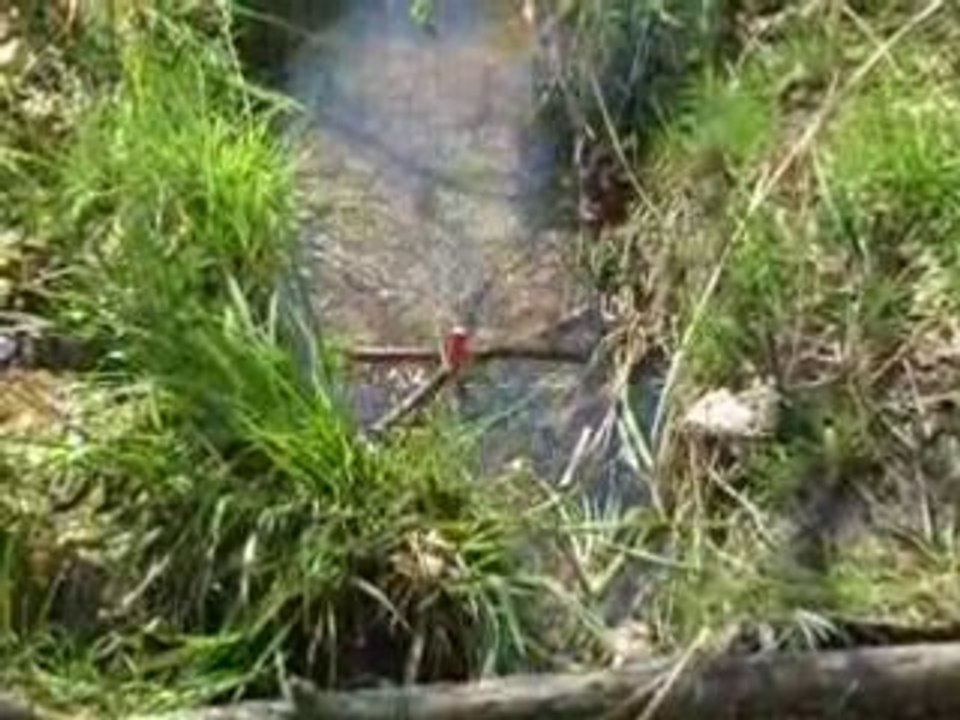 Dynamite in the water