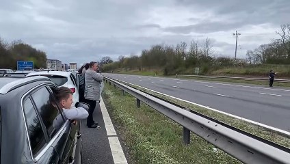 Motorway traffic brought to standstill by three goats