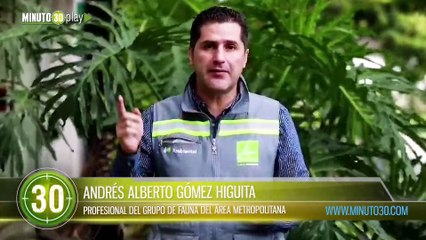 Aproveche comienzan las jornadas de esterilización para perros y gatos en el Área Metropolitana del Valle de Aburrá