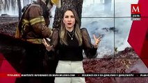 Ola de incendios forestales devasta varios estados de México
